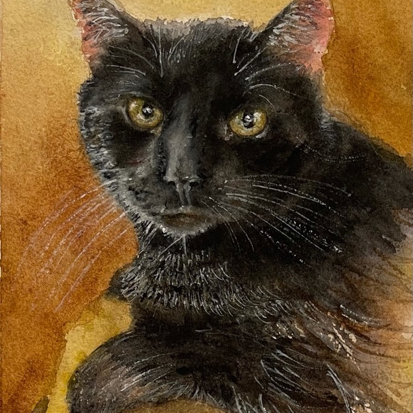 Meet your Posher, Carolyn - Picture 9 of 15